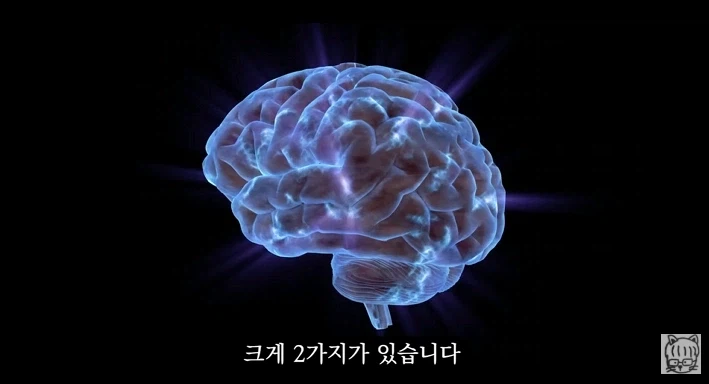 숏폼 중독이 무서운 뇌과학적 이유_33.webp