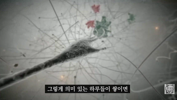 숏폼 중독이 무서운 뇌과학적 이유_79.webp