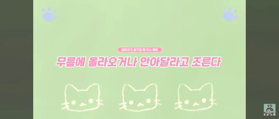 고양이가 집사를 