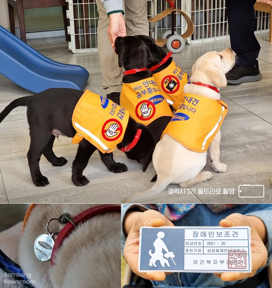 삼성이 33년동안 적자 보면서 유지해온 사업_6.webp