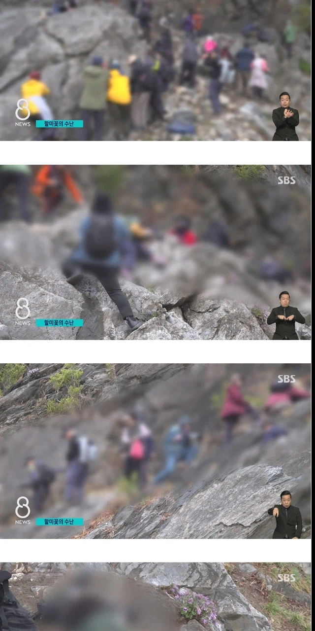 사진 작가들이 사진 찍고 훼손하는 이유.jpg_2.webp