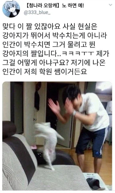 베스트 춤추는 강아지 음해하는 씹덕프사가 구라치는 중이라는 증거