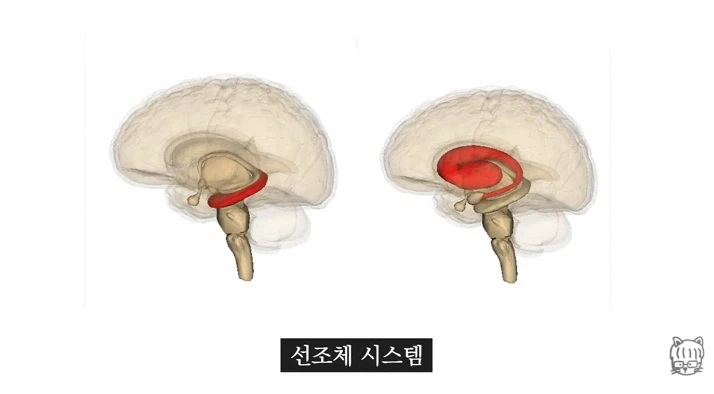 숏폼 중독이 무서운 뇌과학적 이유_34.webp