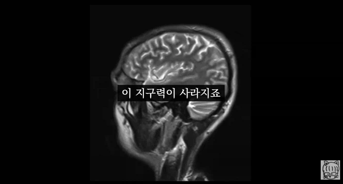 숏폼 중독이 무서운 뇌과학적 이유_18.webp