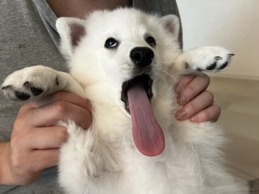 쉬었음 청년하려고 했더니 재입사하란다