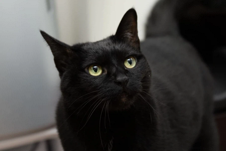 빚 갚을때 정신을 붙잡아준것...._4.webp