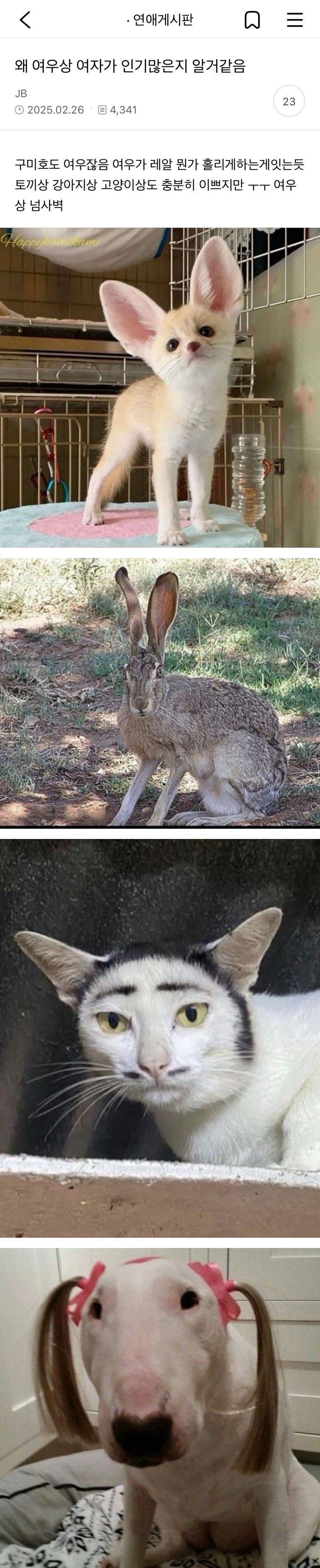 ??? : 여우상 여자가 왜 인기 많은지 알 것 같음.jpg