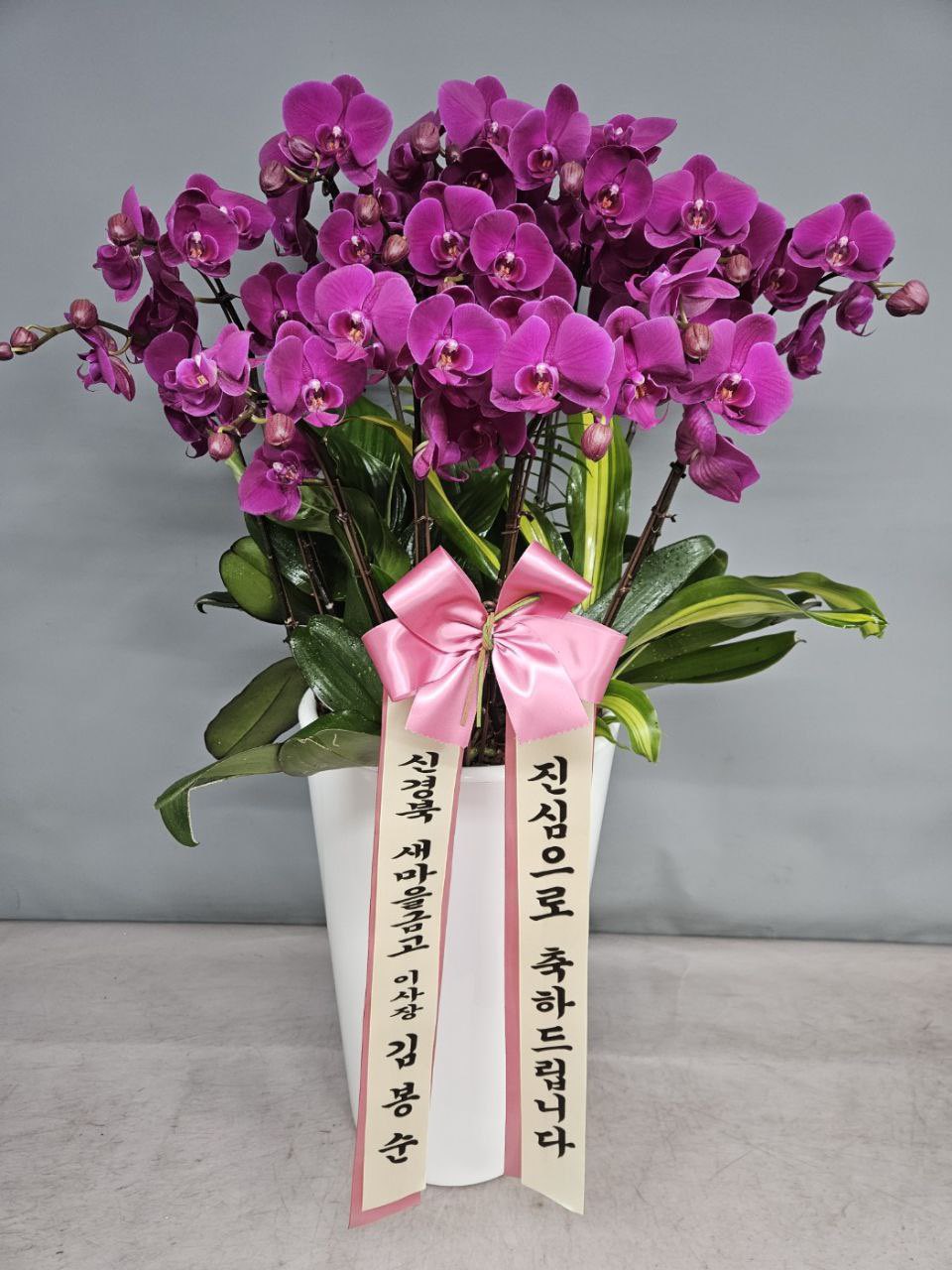 송영길 전 대표가 받은 난