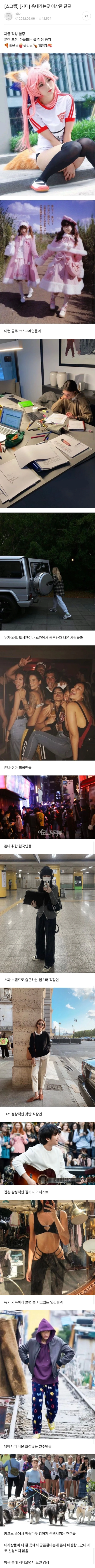 홍대라는 곳 존나 이상함