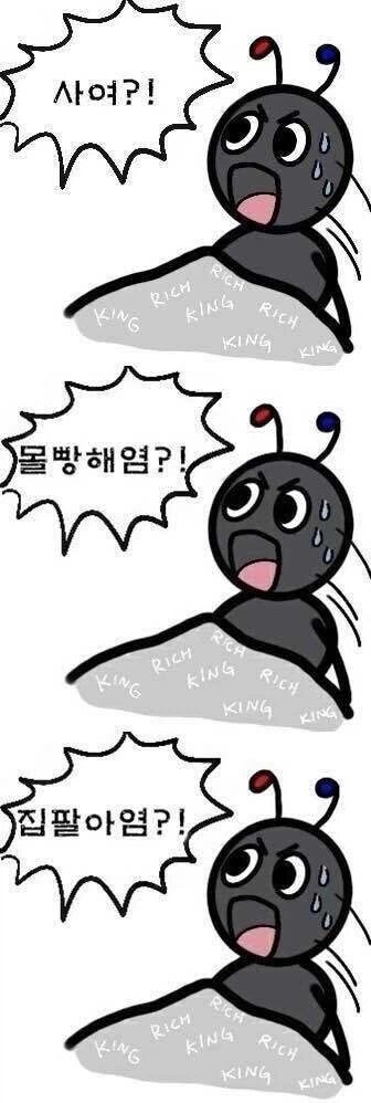 주식) 오늘자 요약