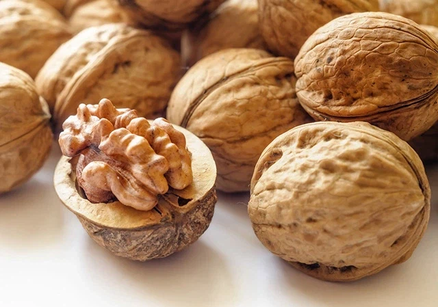 안녕하세요, 유게 고소빌런입니다._2.webp