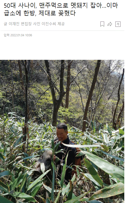 주먹한방으로 멧돼지를 제압한 50대 아재.jpg