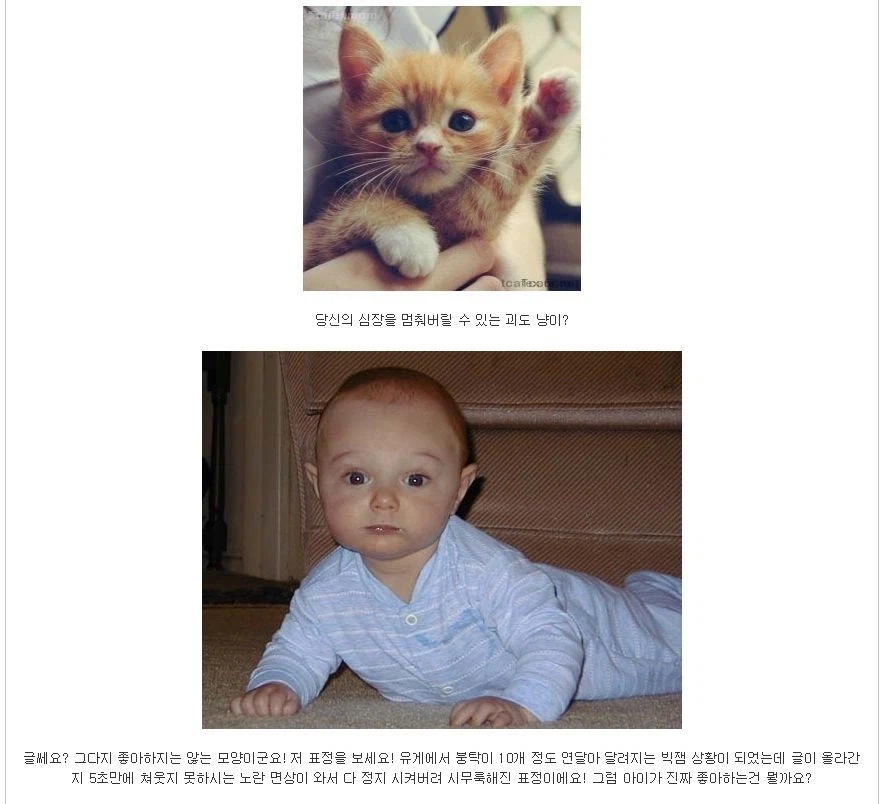 유게 전설의 빌런 괴도자지의 필력_3.webp