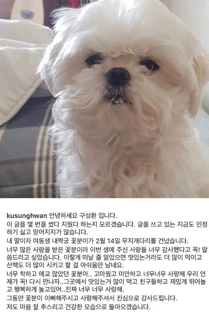 무지개 다리를 건넌 구성환의 반려견 꽃분이