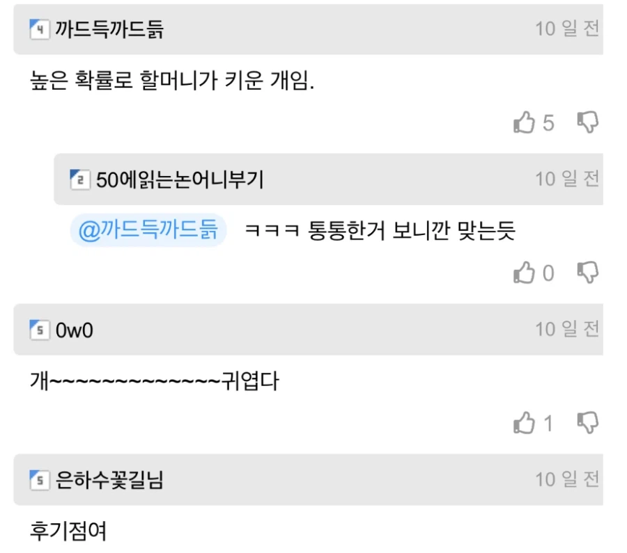 길잃은 뚱뚱 치와와 주인 찾아준 사람.jpg_4.webp