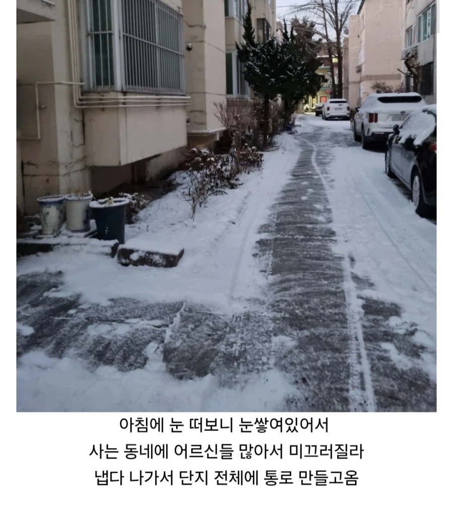 훈훈한 일을 한 유게이에 대한 포상.jpg_2.webp