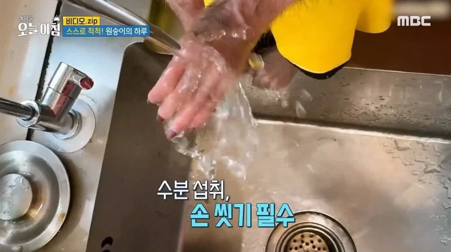 상위 1% 원숭이_21.webp