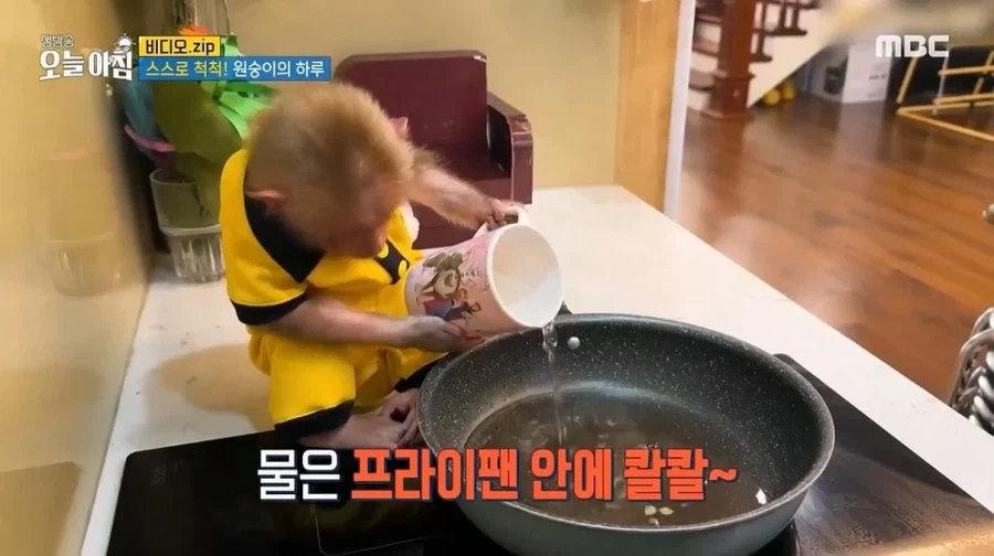 상위 1% 원숭이_11.webp