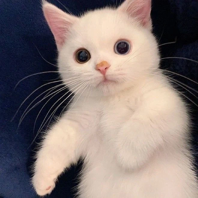 영화 글 쓸때 보람찬거.movie_5.webp