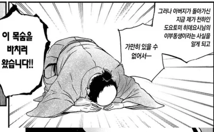 도요토미 히데요시가 자칭 이부동생을 대하는 법_2.webp