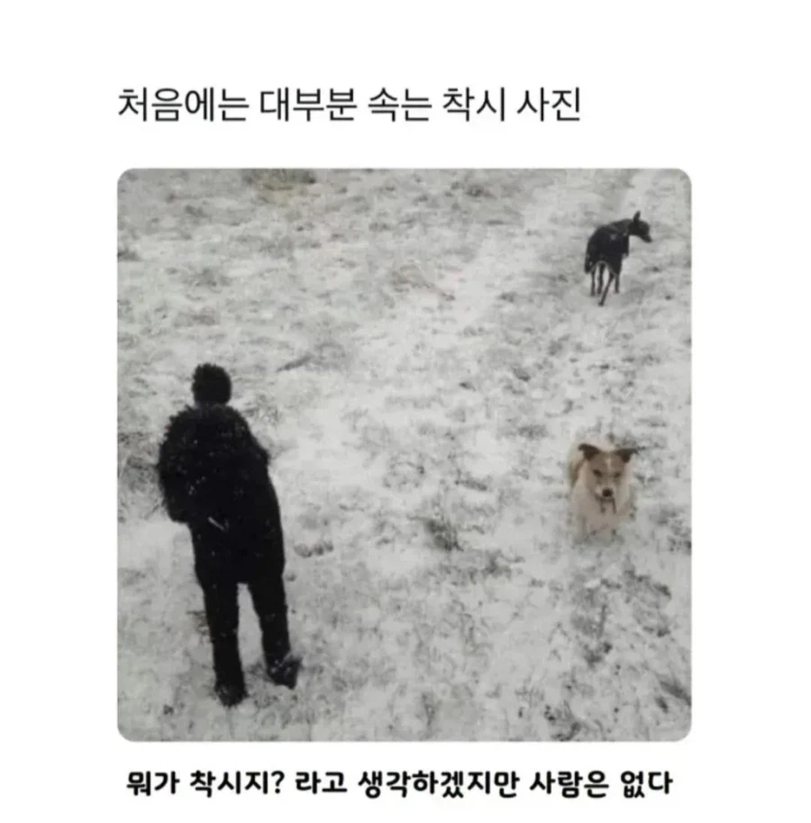 대부분은 속는다는 착시 사진