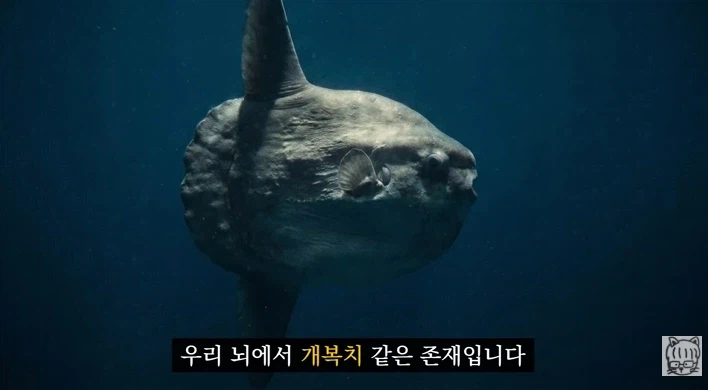 숏폼 중독이 무서운 뇌과학적 이유_36.webp