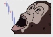 지금 주식 상황