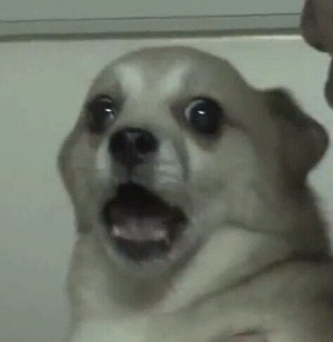 여자친구의 오빠를 뭐라고 부름?_3.jpg