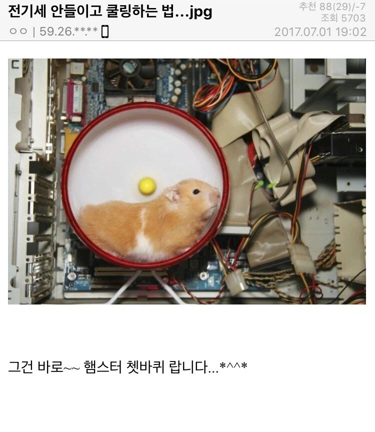 햄스터로 쿨링하는법 .jpg
