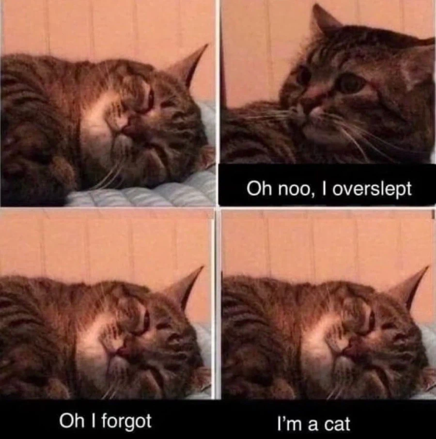 ‘우왓 너무 많이 잤잔아’