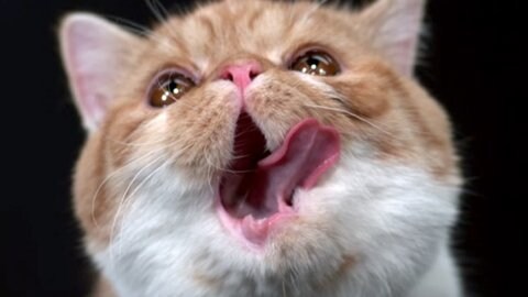 개인적으로 영화 리뷰 유튜버들을 안보게된 이유.movie