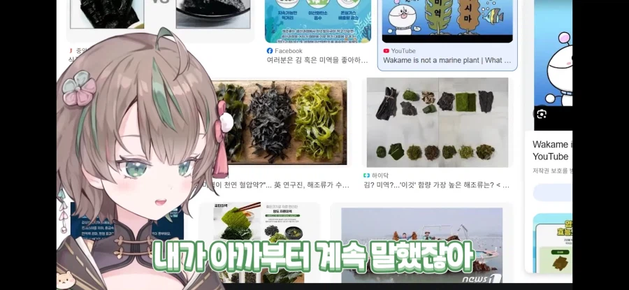 버튜버) 김 말린 게 미역이잖아요!_8.webp