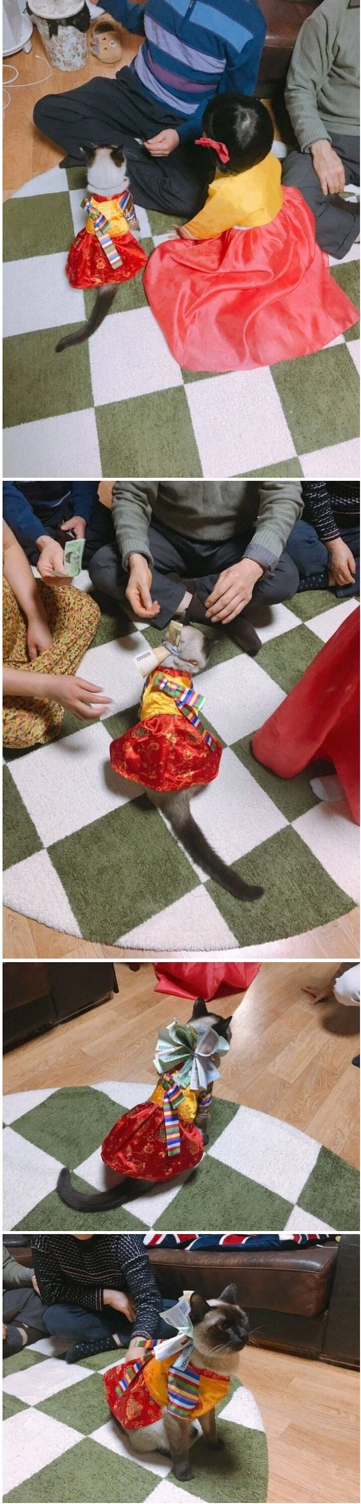 한복입고 세뱃돈 받는 태국 아가씨