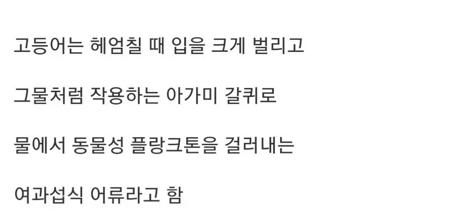 좀처럼 보기 힘든 고등어 헤엄치는 모습.jpgif_2.webp