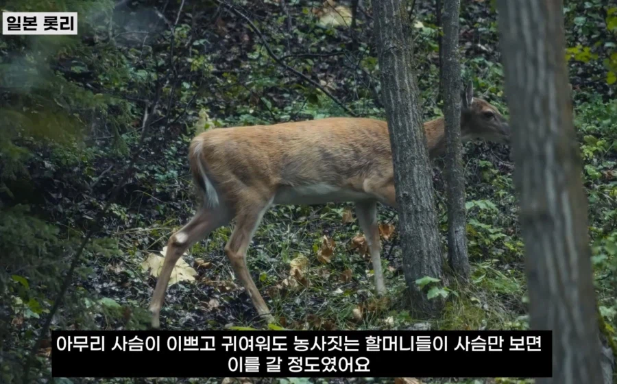 일본 롯데리아의 광기_6.webp