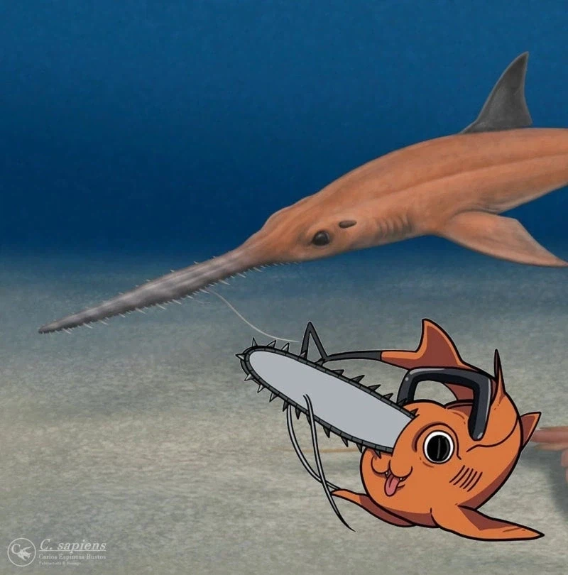 화석 이름을 '포치타'라고 지은 생물학자들_2.webp