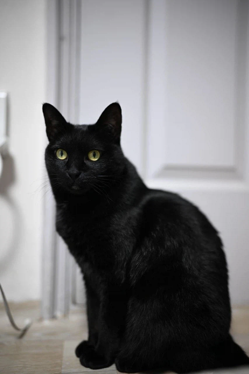 빚 갚을때 정신을 붙잡아준것...._6.webp