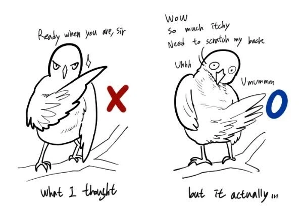 유게의 아이돌, 푸른날개가 몰락한 이유_2.webp