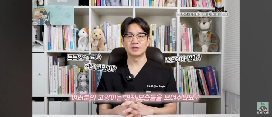 고양이가 집사를 