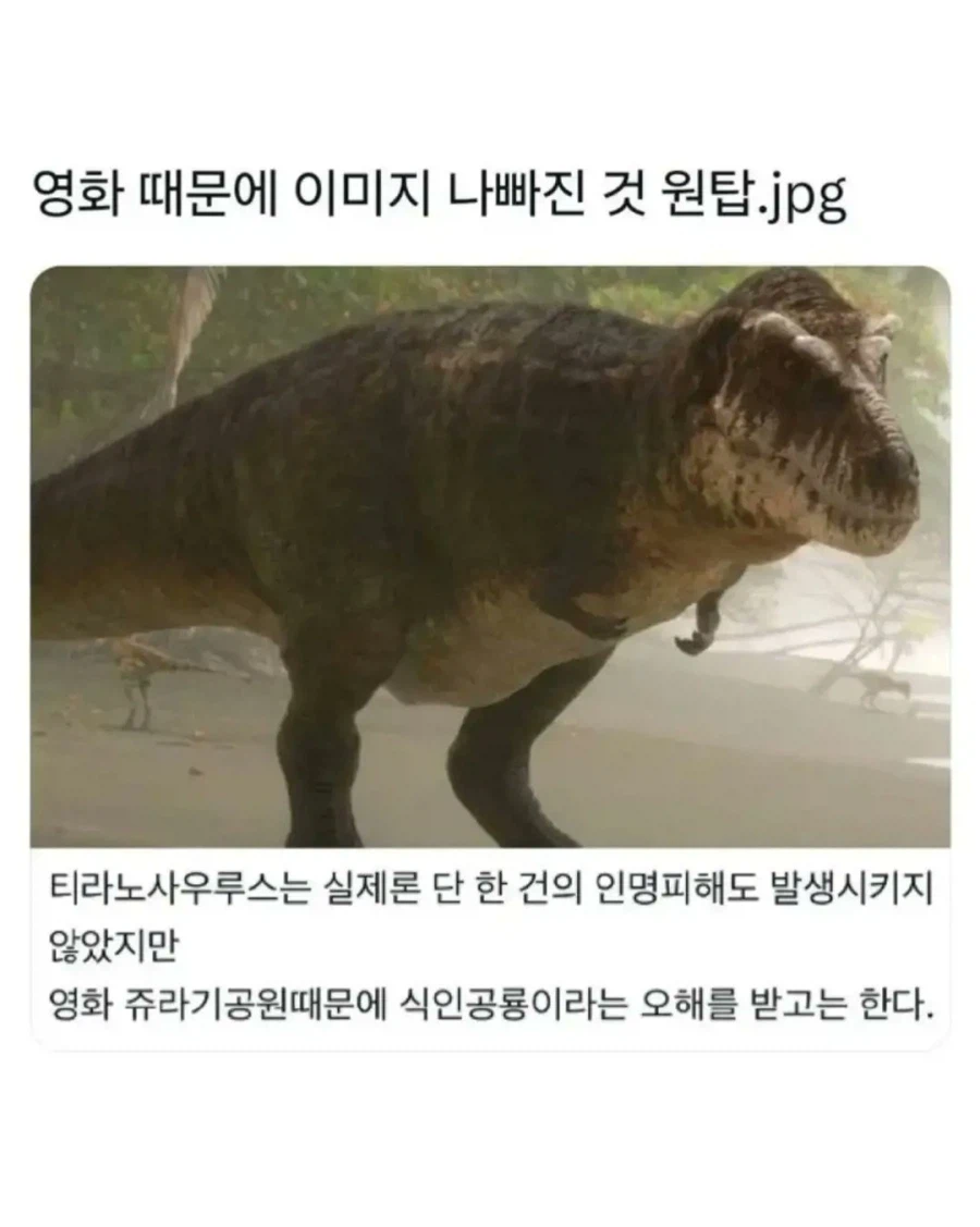 영화 때문에 이미지 나빠진 동물.JPG