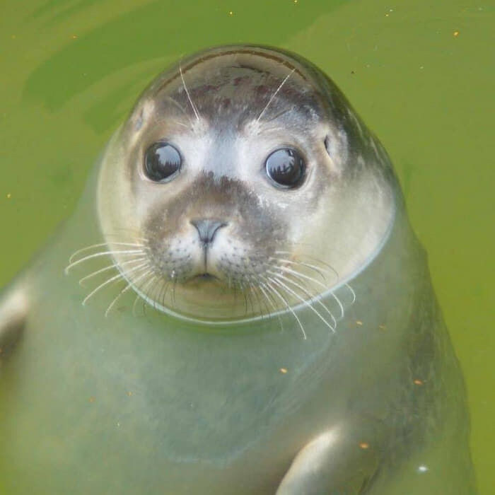 영화 집에서 보면 되는데 영화관을 왜 감?.movie_4.jpg