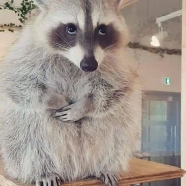 영화 글 쓸때 보람찬거.movie_7.webp