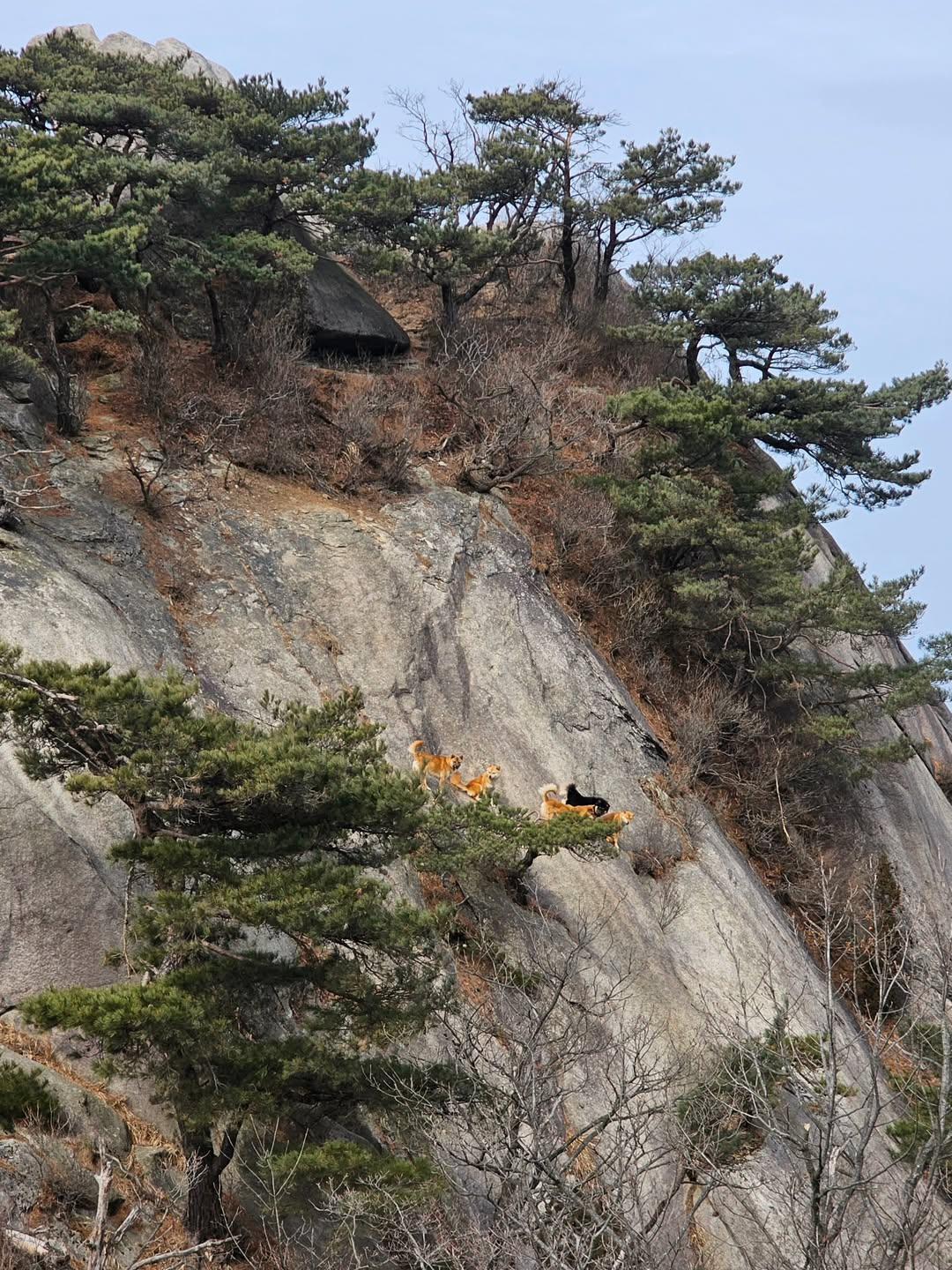 북한산 최대 골치덩어리