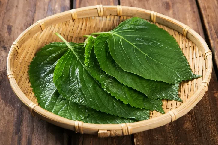 삼겹살의 필수요소_2.webp