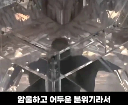 가장 비싼 영화 삭제 장면.jpg_20.webp