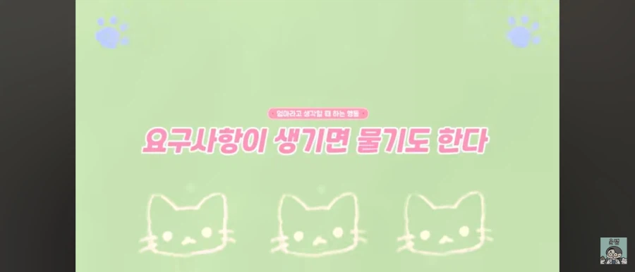 고양이가 집사를 